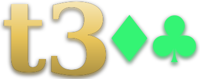 t300 logo